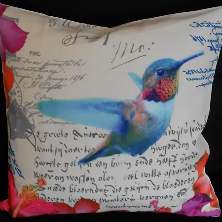 Kolibri Greetsiel